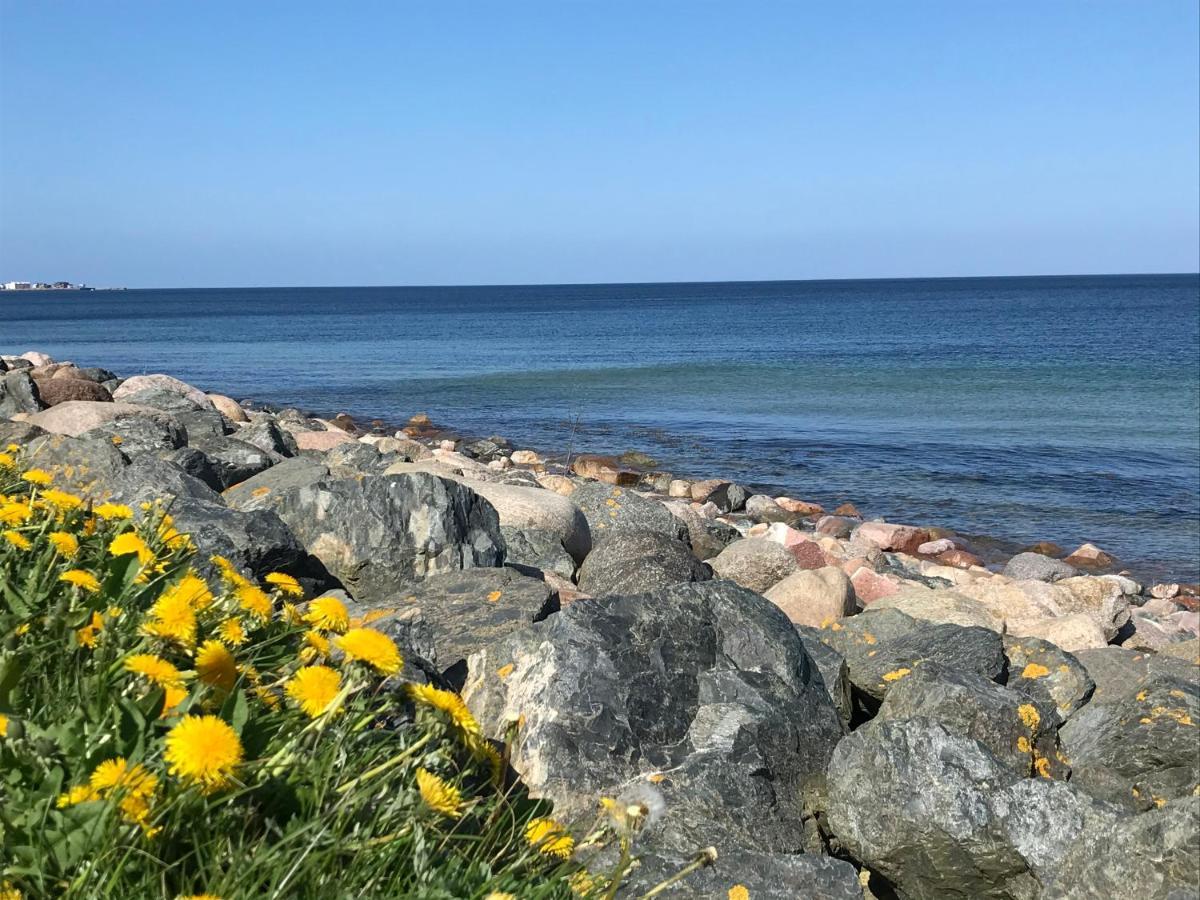 Ferienwohnung Strandläufer Schönhagen Exterior foto