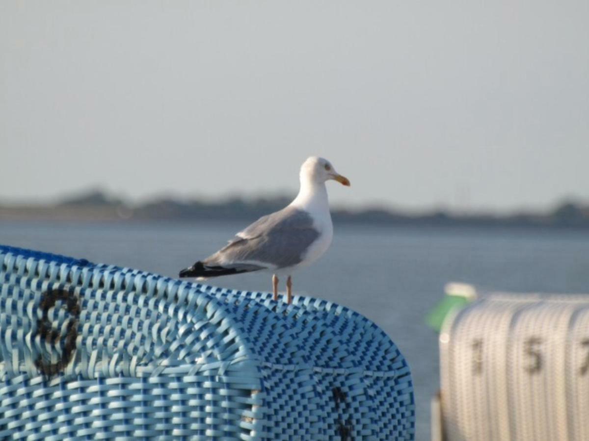 Strandläufer Schönhagen Exterior foto